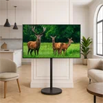 מעמד נייד עד 55 עם גלגלים נסתרים שחור מט AL55B