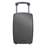בידורית AIWA TSUNAMI-15 – מערכת הגברה ניידת 600W עם 2 מיקרופונים UHF 5