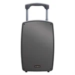 בידורית AIWA TSUNAMI-12 – מערכת הגברה ניידת 500W עם 2 מיקרופונים אלחוטיים 3