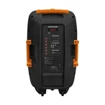 בידורית 12 אינץ 2 מיקרופונים דגם PMW-4412 מבית Pure Acoustics 2