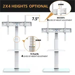 מעמד לבן רצפתי עד 65 BRACKET DSL100 6