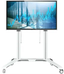 עגלת נשיאה למסך עד 120" B-TECH BT8564