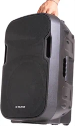 בידורית קריוקי מקצועית נטענת QL-Milano QL700 600W