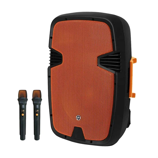 בידורית 12 אינץ 2 מיקרופונים דגם PMW-4412 מבית Pure Acoustics